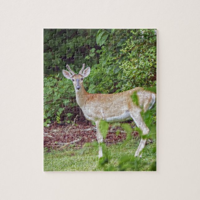 Young Buck in Velvet Jigsaw Puzzle (Vertical)