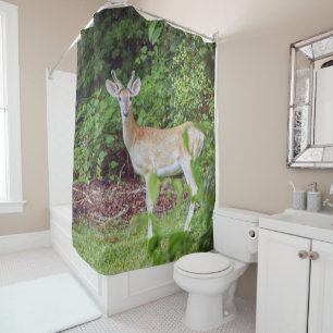 Young Buck in Velvet Shower Curtain