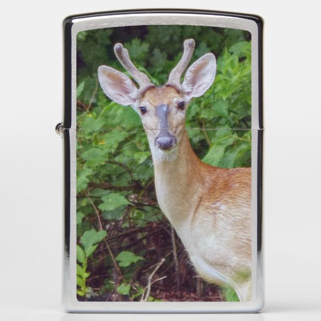 Young Buck in Velvet Zippo Lighter (Front)