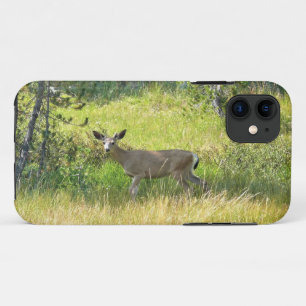 Young Buck in Yosemite, California iPhone 11 Case