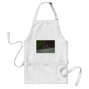 Young Buck Stag Deer Feeding Adult Apron