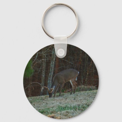 Young Buck Stag Deer Feeding Keychain