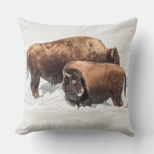 Young Buffalo or Bison with Mother Throw Pillow