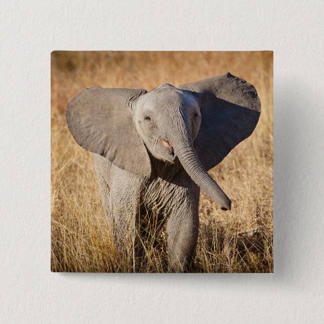 Young Bush Elephant Button (Front)