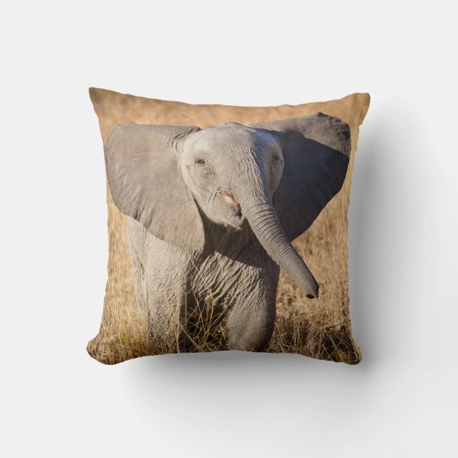 Young Bush Elephant Throw Pillow (Front)