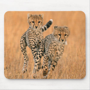 Young Cheetahs (Acinonyx Jubatus) Running Mouse Pad
