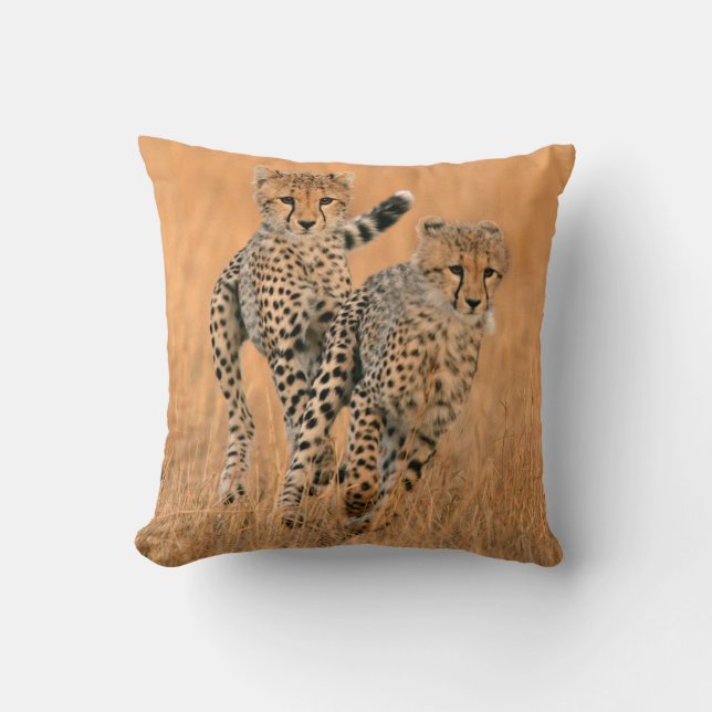 Young Cheetahs (Acinonyx Jubatus) Running Throw Pillow (Front)