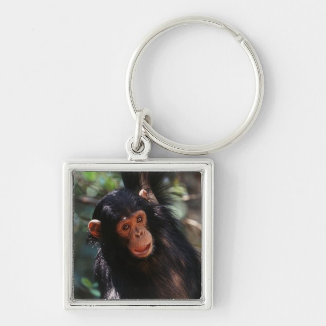 Young Chimpanzee Keychain (Front)