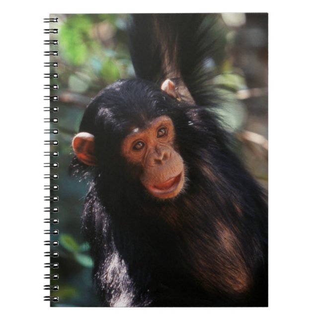 Young Chimpanzee Notebook (Front)