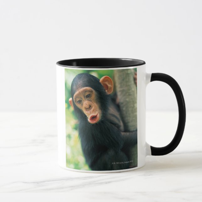 Young Chimpanzee (Pan troglodytes) Mug (Right)