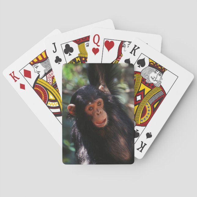 Young Chimpanzee Poker Cards (Back)