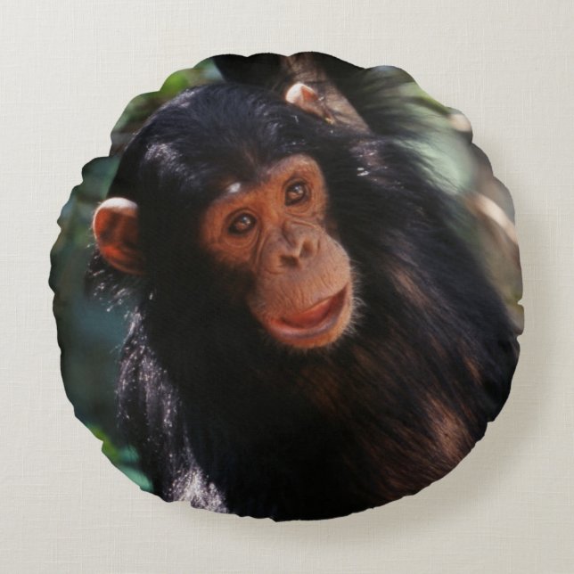 Young Chimpanzee Round Pillow (Front)