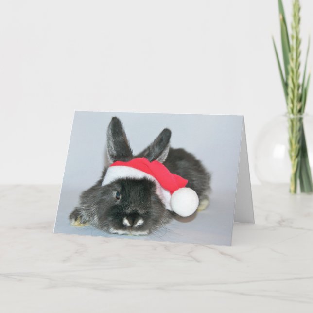 Young christmas rabbit holiday card (Front)
