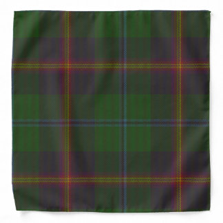 Young Clan Tartan Bandana