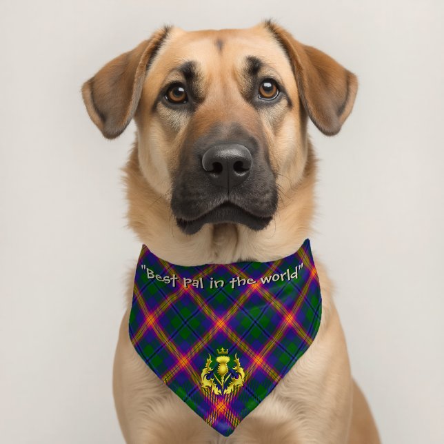 Young Clan Tartan Personalized Pet Bandana Collar (Dog 2)