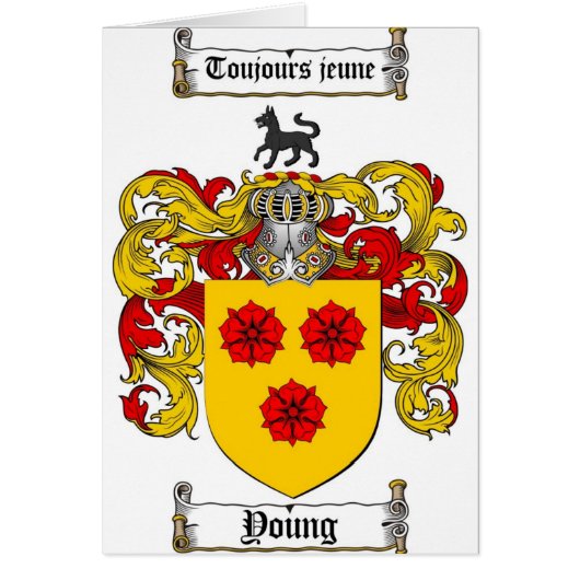 Young Coat of Arms / Young Family Crest Cards (Front)