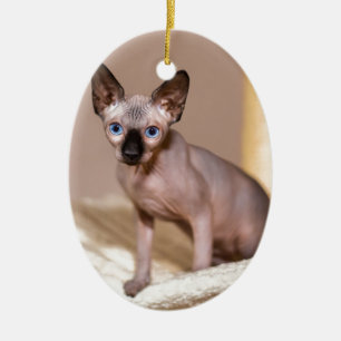 Young colorpoint sphynx cat in hammock.JPG Ceramic Ornament