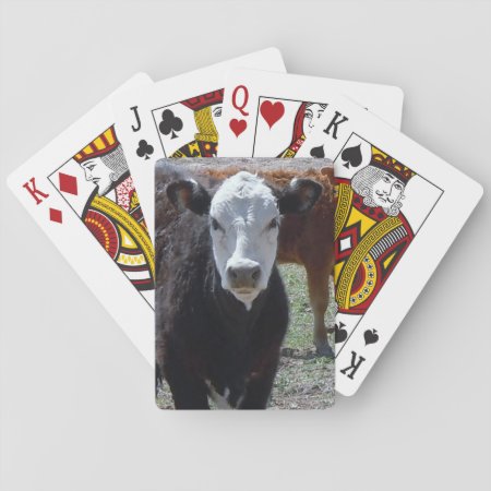 Young Cow Black And White Face Western Playing Cards