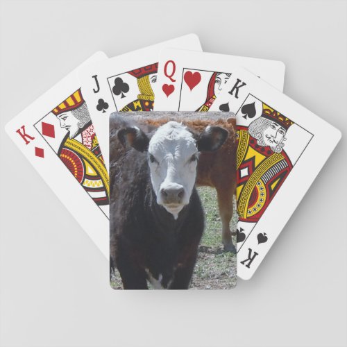 Young Cow Black and White Face Western Playing Cards