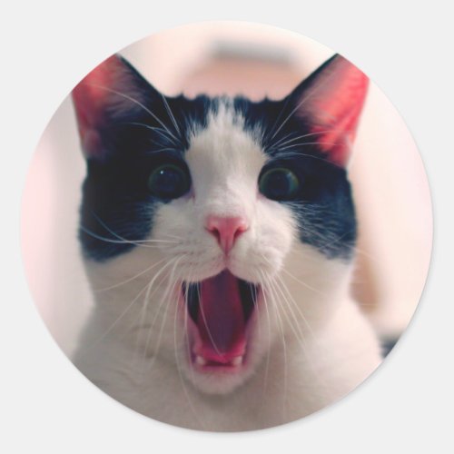 Young crazy surprised cat make big eyes classic round sticker