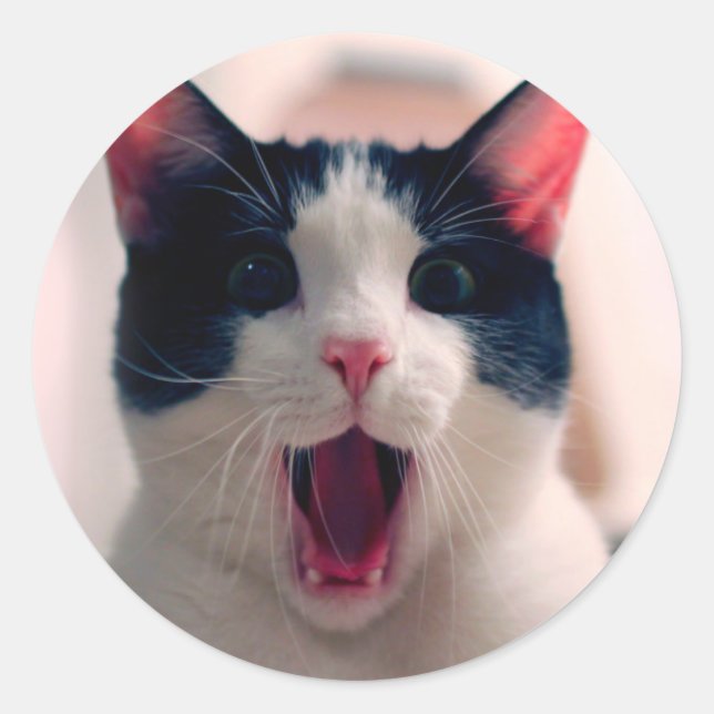 Young crazy surprised cat make big eyes classic round sticker (Front)