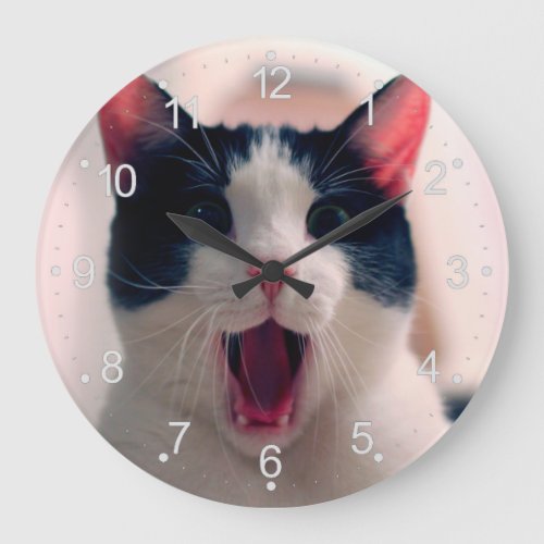Young crazy surprised cat make big eyes large clock