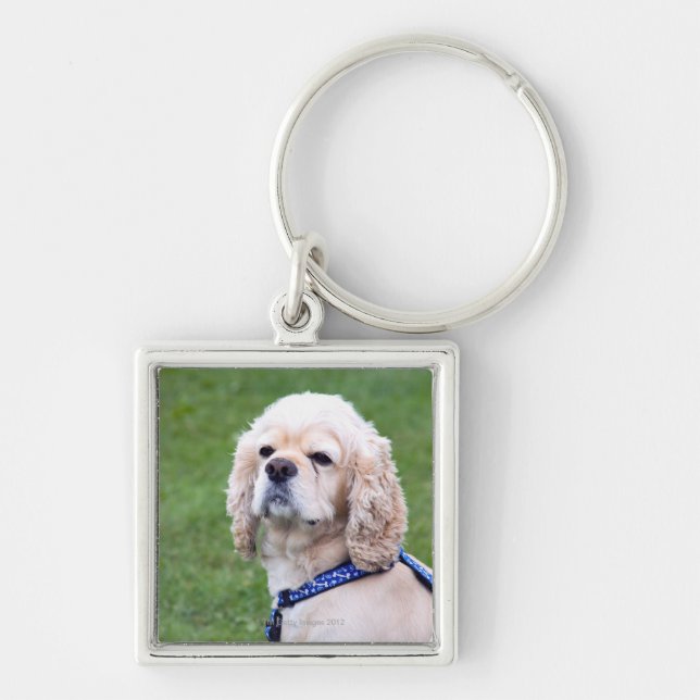 Young cute dog posing. keychain (Front)