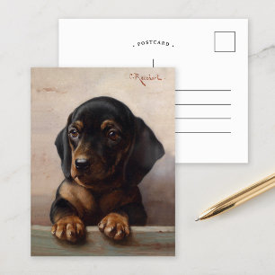 Young Dachshund Carl Reichert Postcard