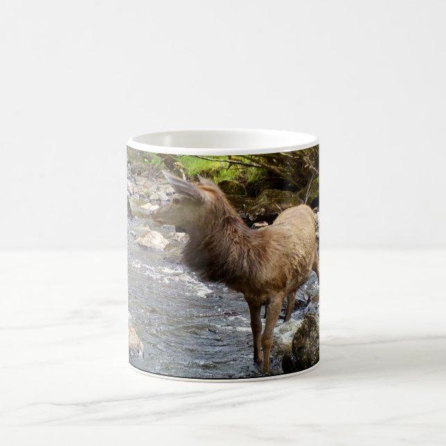 Young Deer in River Mug (Center)