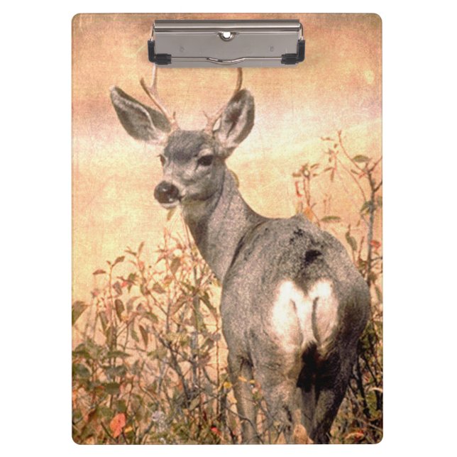Young Deer in Wildflowers with Grungy Texture Art Clipboard (Front)