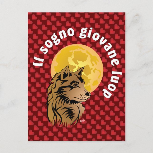 young dreaming wolf postcard (Front)