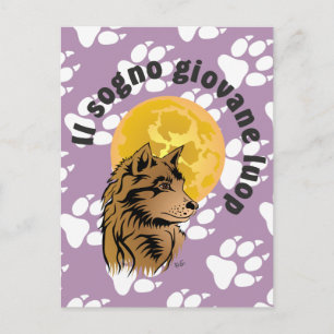 young dreaming wolf postcard