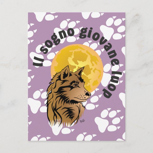 young dreaming wolf postcard (Front)