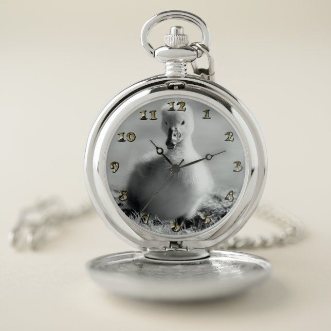 Young Duckling Swan Pocket Watch (Inside)