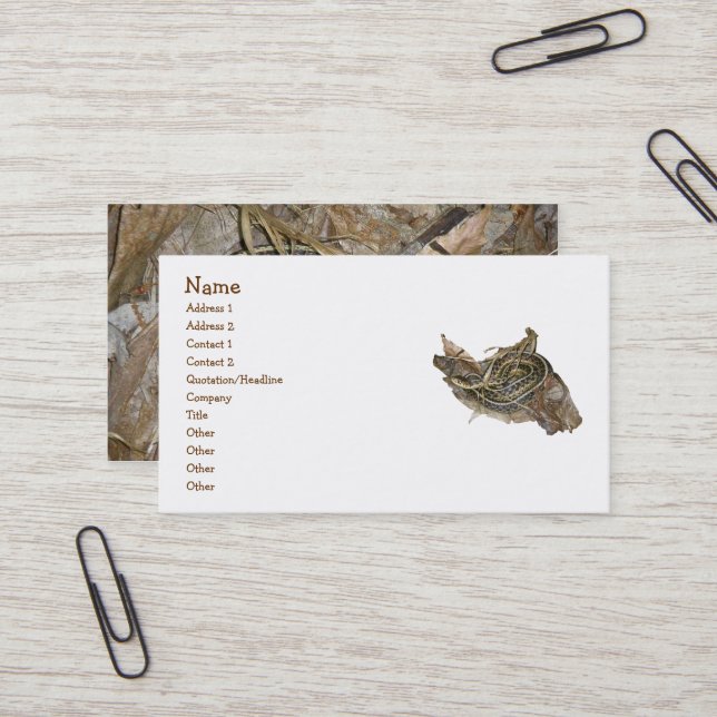Young Eastern Garter Snake Business Card (Front/Back In Situ)