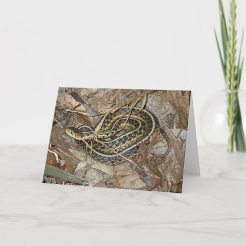 Young Eastern Garter Snake Coordinating Items Holiday Card