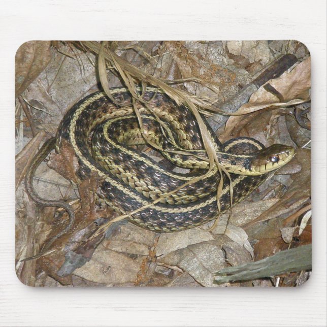 Young Eastern Garter Snake Coordinating Items Mouse Pad (Front)
