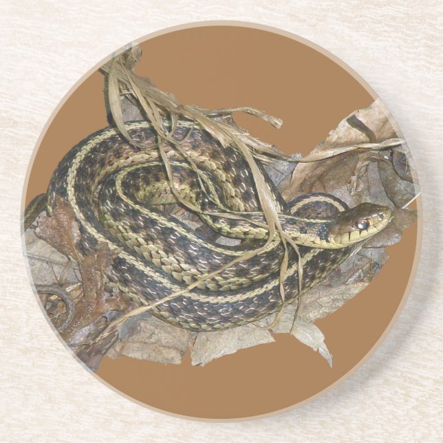 Young Eastern Garter Snake Drink Coaster (Front)