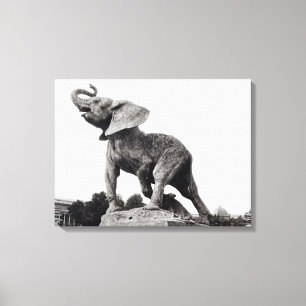 Young Elephant Caught in a Trap Canvas Print