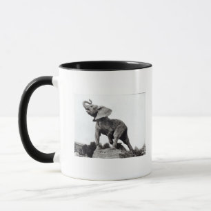 Young Elephant Caught in a Trap Mug