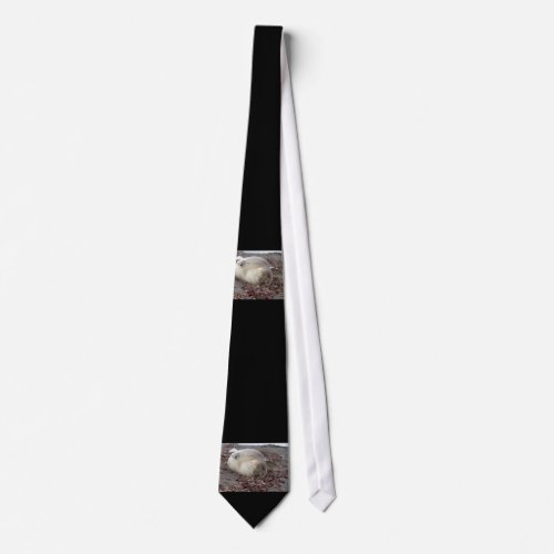 Young elephant seal neck tie