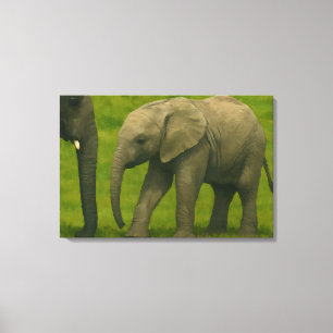 Young Elephant with Guardian in Grassy Reserve Canvas Print