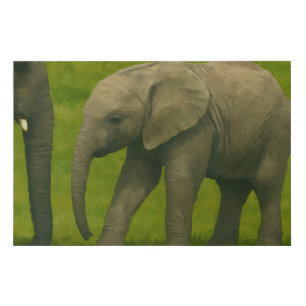 Young Elephant with Guardian in Grassy Reserve Faux Canvas Print