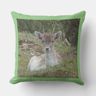 Young Fallow Deer Throw Pillow