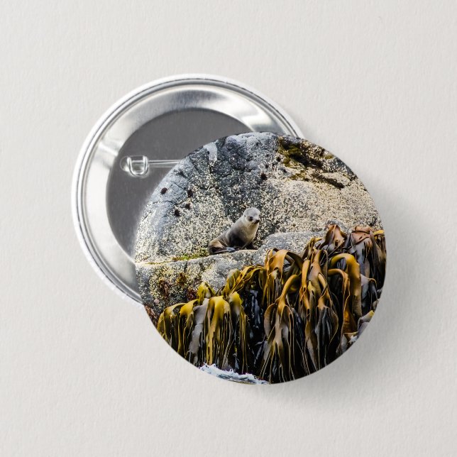 Young Fur Seal On The Rock Button (Front & Back)