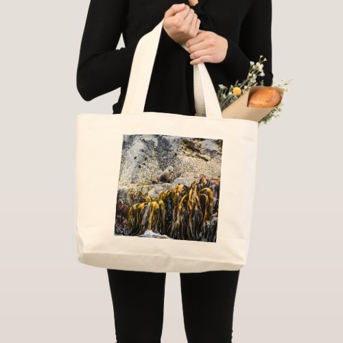 Young Fur Seal On The Rock Large Tote Bag