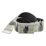 Young German Shepherd Belt