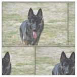 Young German Shepherd Fabric