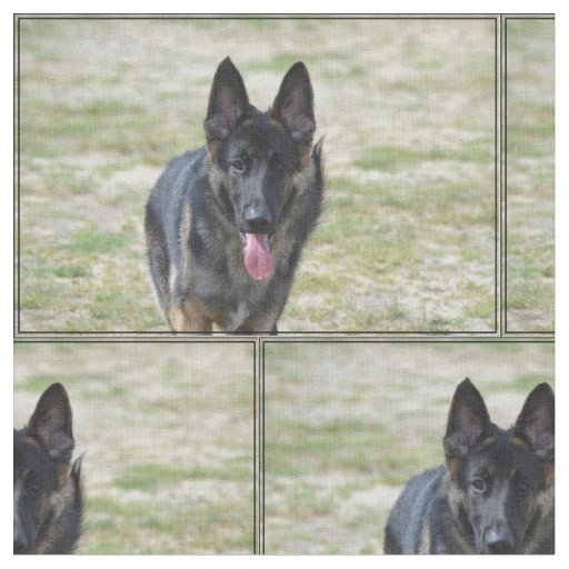 Young German Shepherd Fabric