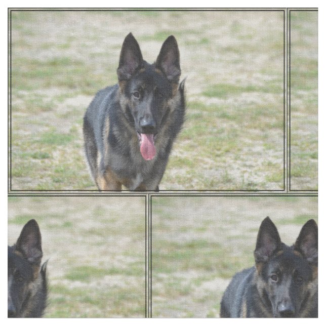 Young German Shepherd Fabric (Close Up)